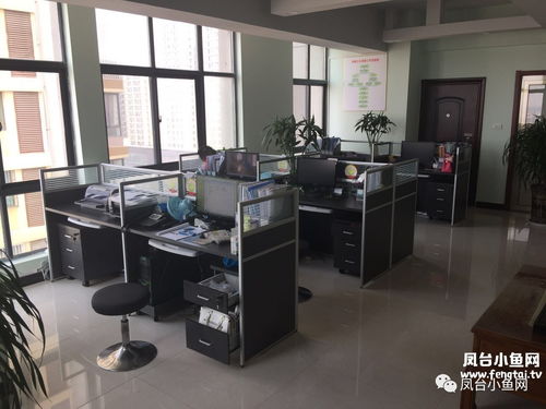 各大青年企業介紹